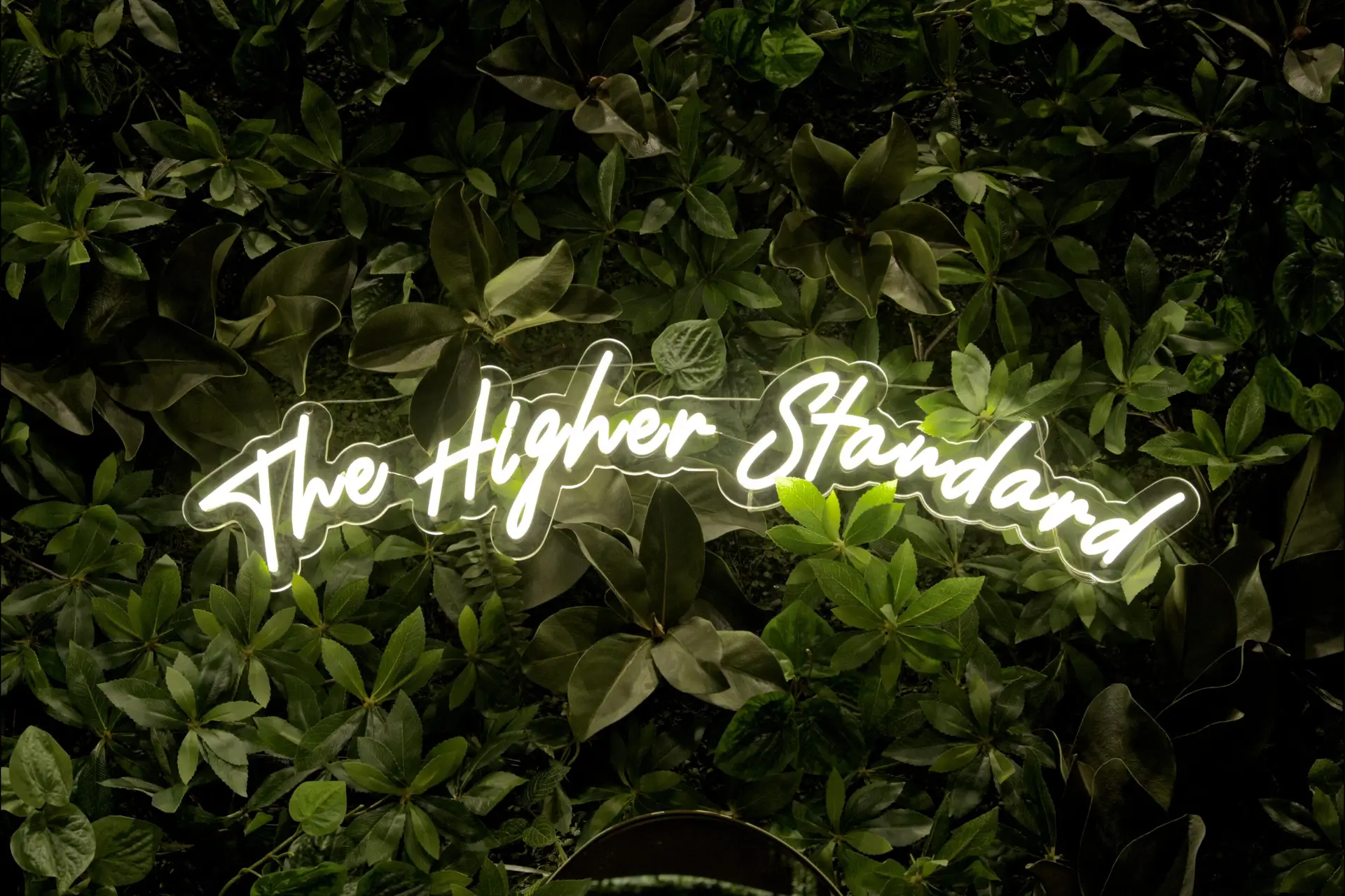 The Higher Standard neon sign inside a Top Grass greenery wall